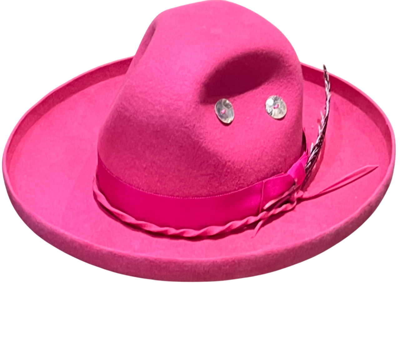 Fuchsia Embera