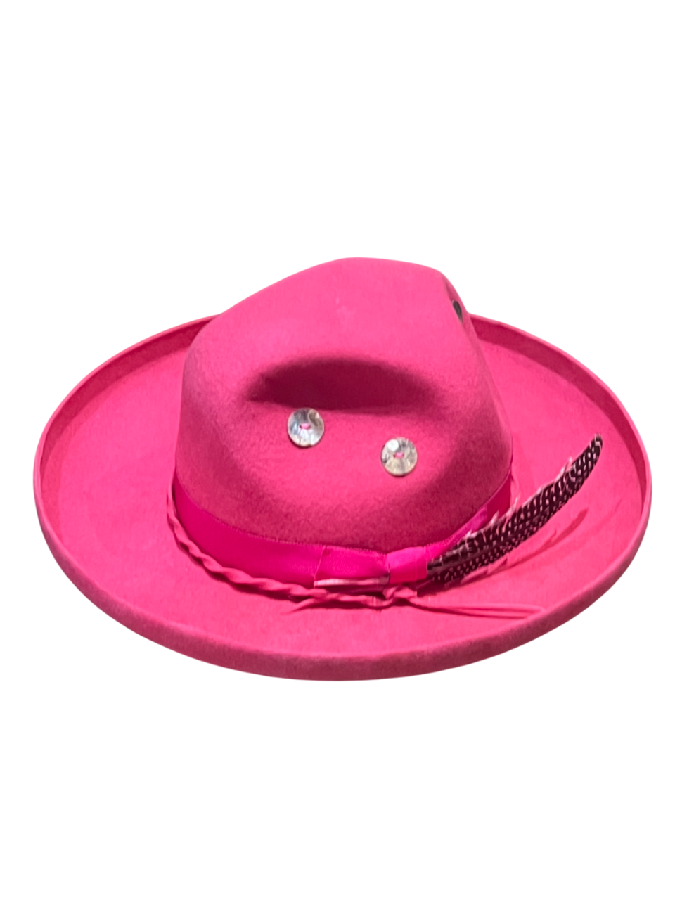 Fuchsia Embera